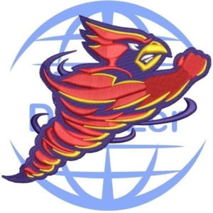 Angery-Bird-Ebroidery-Digitizing