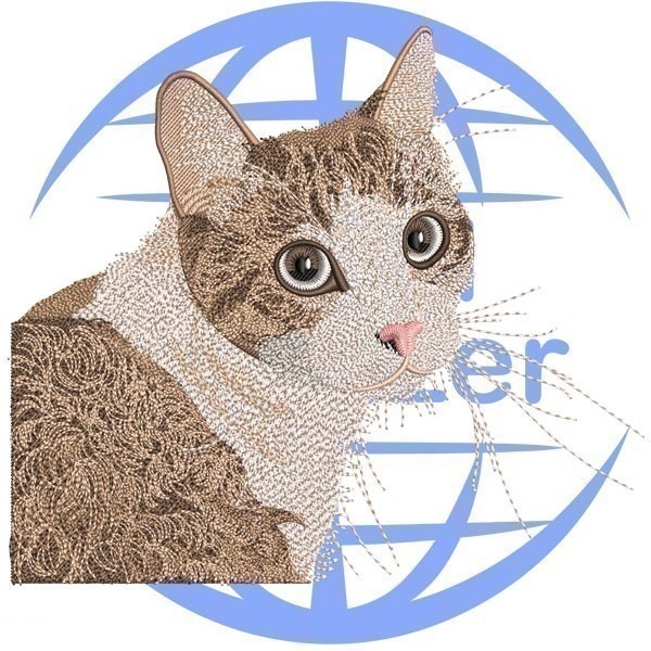 Cat-A-Embroidery-Digitizing
